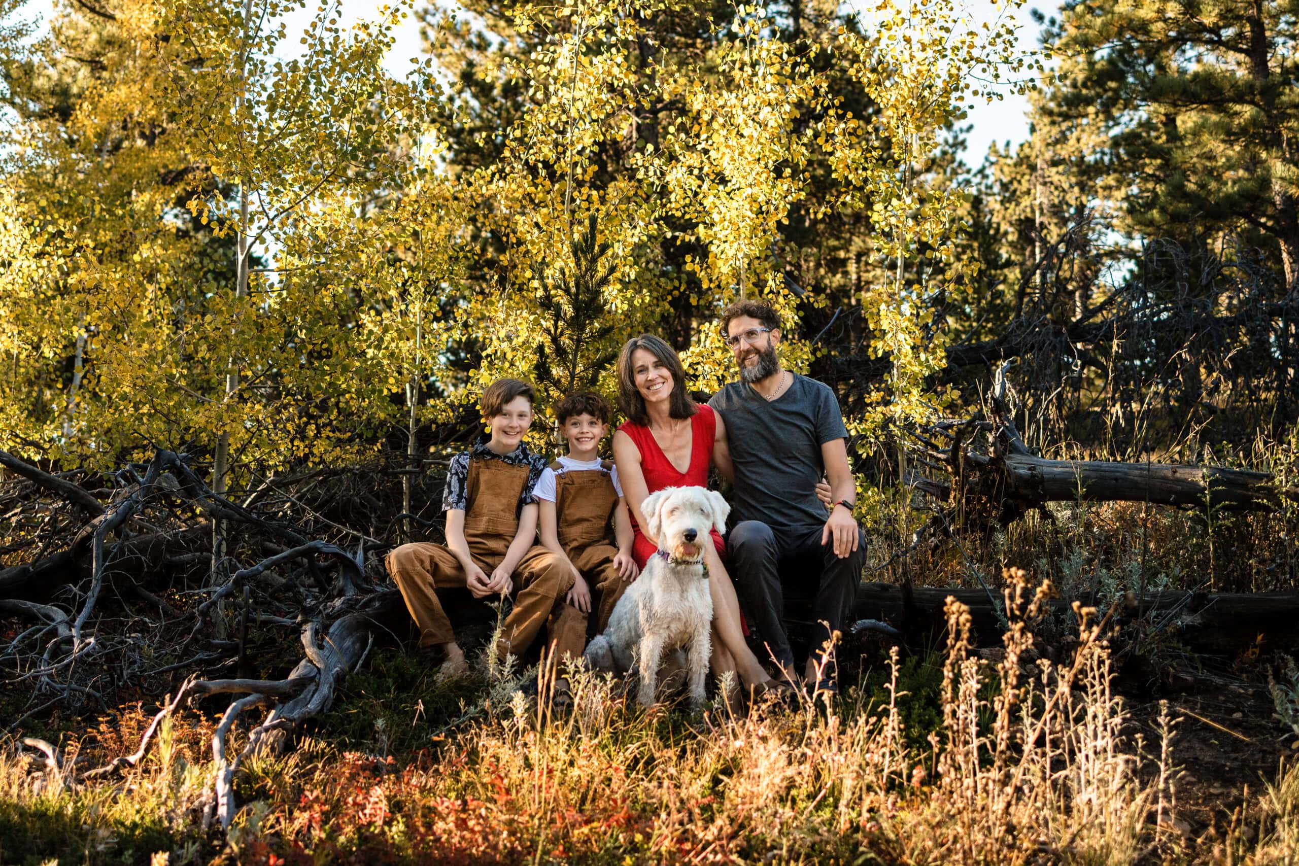 A portrait of a family of four with their dog taken at Mud Lake in Colorado during their lifestyle family photography session.